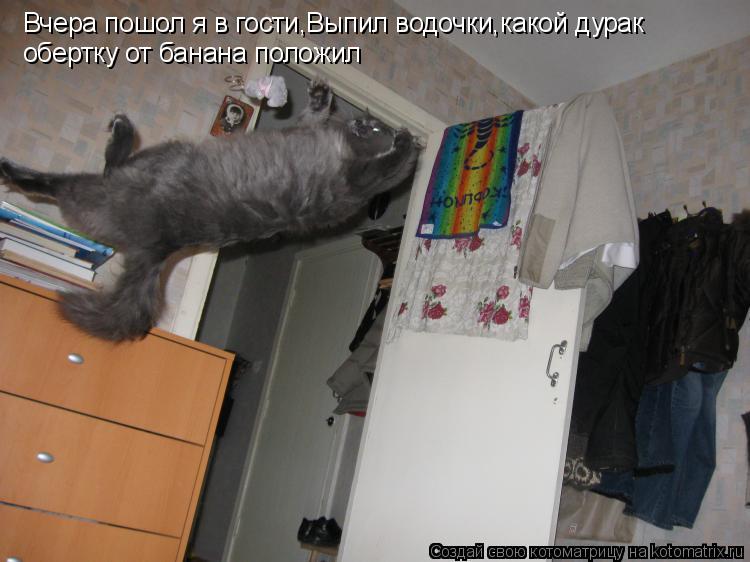 Вчера пошол я в гости,Выпил водочки,какой дурак обертку от банана положил... Котоматрица: Вчера пошол я в гости,Выпил водочки,какой дурак обертку от банана положил