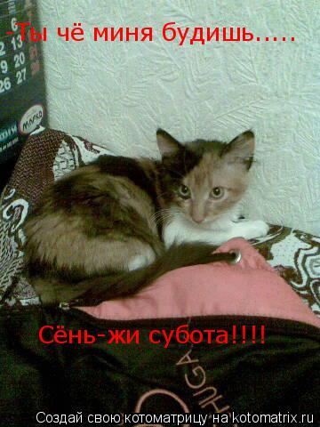 Котоматрица: -Ты чё миня будишь..... Сёнь-жи субота!!!!