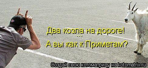 Котоматрица: Два козла на дороге! А вы как к Приметам? ...