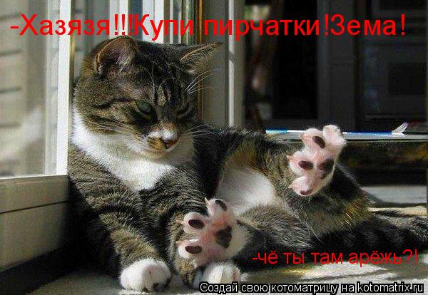 Котоматрица: -Хазязя!!!Купи пирчатки!Зема! -чё ты там арёжь?!