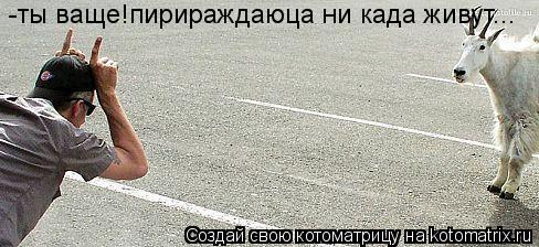 Котоматрица: -ты ваще!пирираждаюца ни када живут...