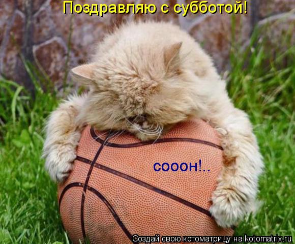 Котоматрица: Поздравляю с субботой! сооон!..