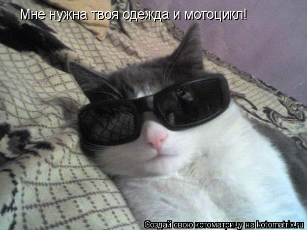 Котоматрица: Мне нужна твоя одежда и мотоцикл!