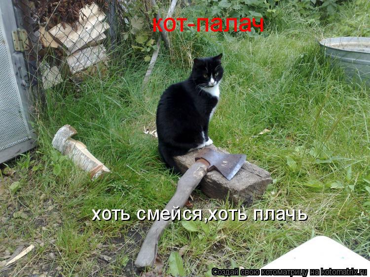 Котоматрица: кот-палач хоть смейся,хоть плач ь