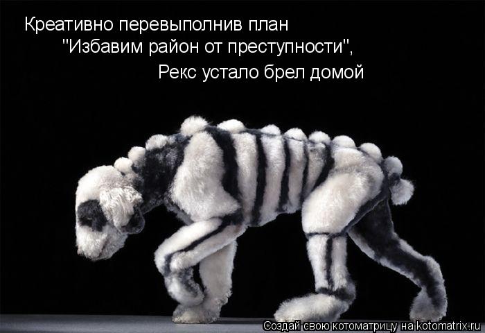 Креативно перевыполнив план "Избавим район от преступности", Рекс устало брел домой... Котоматрица: Креативно перевыполнив план "Избавим район от преступности", Рекс устало брел домой