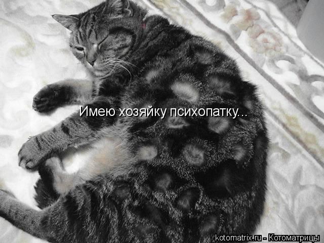 Имею хозяйку психопатку...... Котоматрица: Имею хозяйку психопатку...