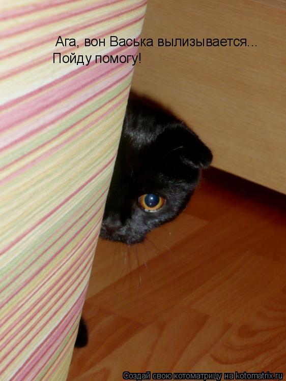 Ага, вон Васька вылизывается... Пойду помогу!... Котоматрица: Ага, вон Васька вылизывается... Пойду помогу!