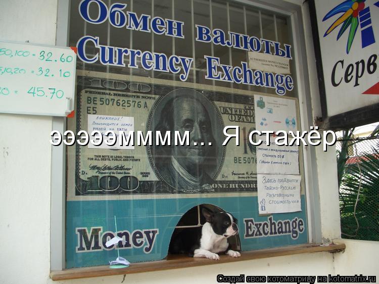 эээээмммм... Я стажёр... Котоматрица: эээээмммм... Я стажёр