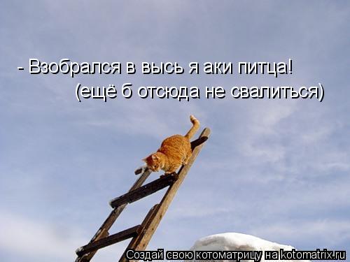- Взобрался в высь я аки питца! (ещё б отсюда не свалиться)... Котоматрица: - Взобрался в высь я аки питца! (ещё б отсюда не свалиться)