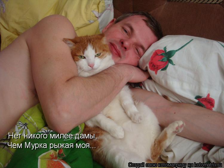 Котоматрица: Нет никого милее дамы, Чем Мурка рыжая моя...