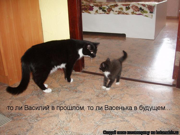 то ли Василий в прошлом, то ли Васенька в будущем...... Котоматрица: то ли Василий в прошлом, то ли Васенька в будущем...