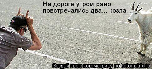 Котоматрица: На дороге утром рано  повстречались два... козла