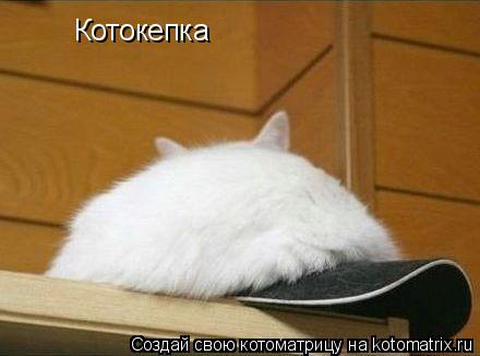 Котокепка... Котоматрица: Котокепка