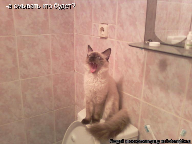 -а смывать кто будет?... Котоматрица: -а смывать кто будет?