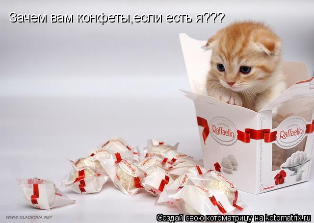 Котоматрица: Зачем вам конфеты,если есть я???