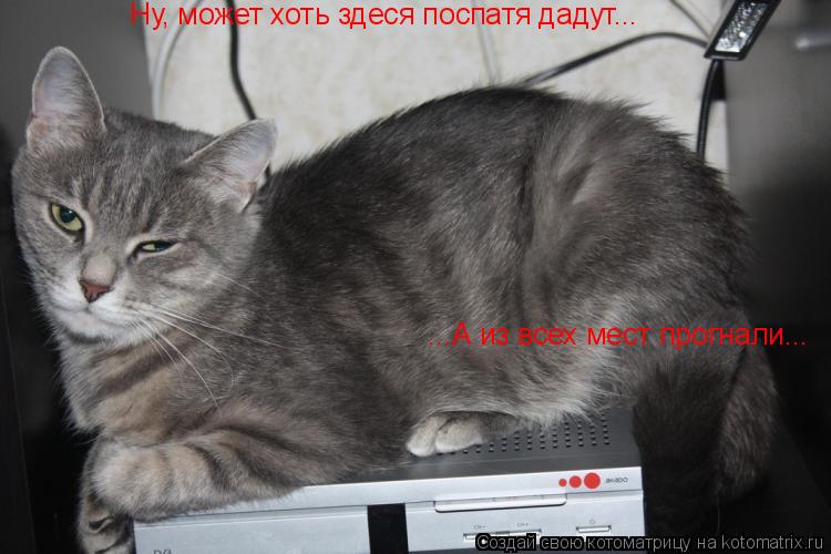 Котоматрица: Ну, может хоть здеся поспатя дадут... ...А из всех мест прогнали...