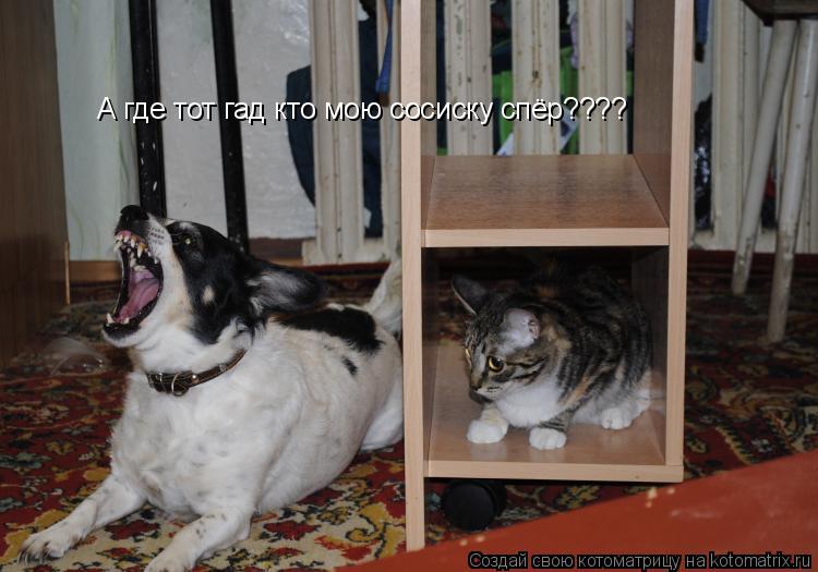 А где тот гад кто мою сосиску спёр????... Котоматрица: А где тот гад кто мою сосиску спёр????