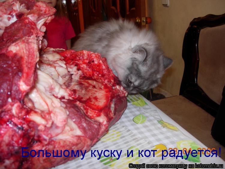 Большому куску и кот радуется!... Котоматрица: Большому куску и кот радуется!