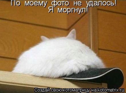 По моему фото не удалось! Я моргнул!... Котоматрица: По моему фото не удалось! Я моргнул!