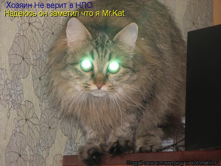 Хозяин Не верит в НЛО. Надеюсь он заметил что я Mr.Kat... Котоматрица: Хозяин Не верит в НЛО. Надеюсь он заметил что я Mr.Kat