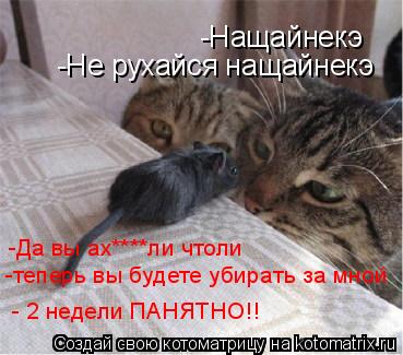 -Нащайнекэ -Не рухайся нащайнекэ -Да вы ах****ли чтоли -теперь вы будете убирать за мной - 2 недели ... Котоматрица: -Нащайнекэ -Не рухайся нащайнекэ -Да вы ах****ли чтоли -теперь вы будете убирать за мной - 2 недели ПАНЯТНО!!