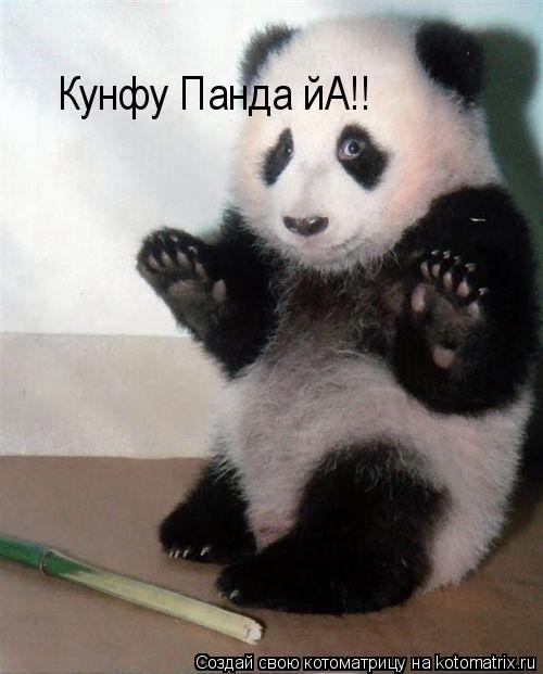 Кунфу Панда йА!!... Котоматрица: Кунфу Панда йА!!