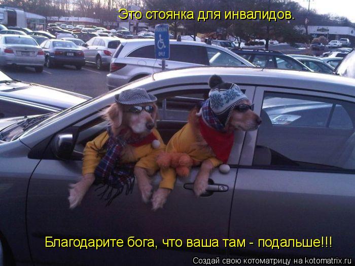 Это стоянка для инвалидов. Благодарите бога, что ваша там - подальше!!!... Котоматрица: Это стоянка для инвалидов. Благодарите бога, что ваша там - подальше!!!