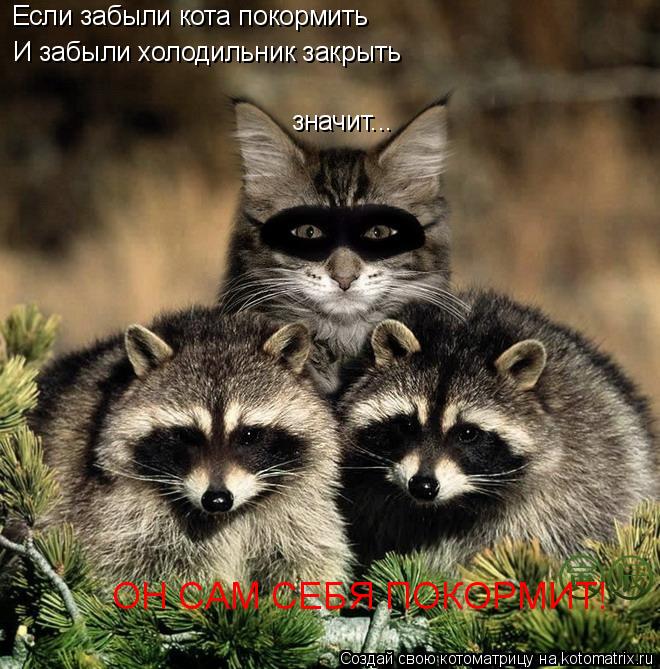 Если забыли кота покормить значит... И забыли холодильник закрыть ОН САМ СЕБЯ ПОКОРМИТ!... Котоматрица: Если забыли кота покормить значит... И забыли холодильник закрыть ОН САМ СЕБЯ ПОКОРМИТ!