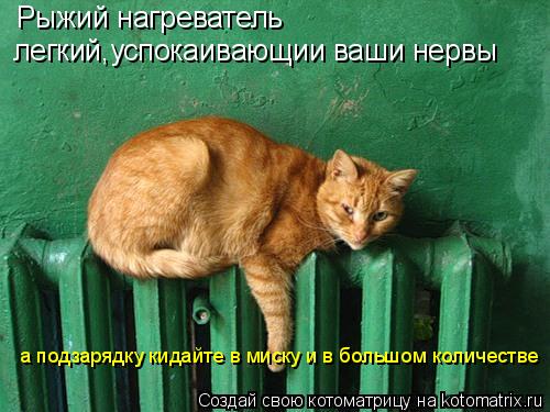 Рыжий нагреватель легкий,успокаивающии ваши нервы а подзарядку кидайте в миску и в большом количеств... Котоматрица: Рыжий нагреватель легкий,успокаивающии ваши нервы а подзарядку кидайте в миску и в большом количестве