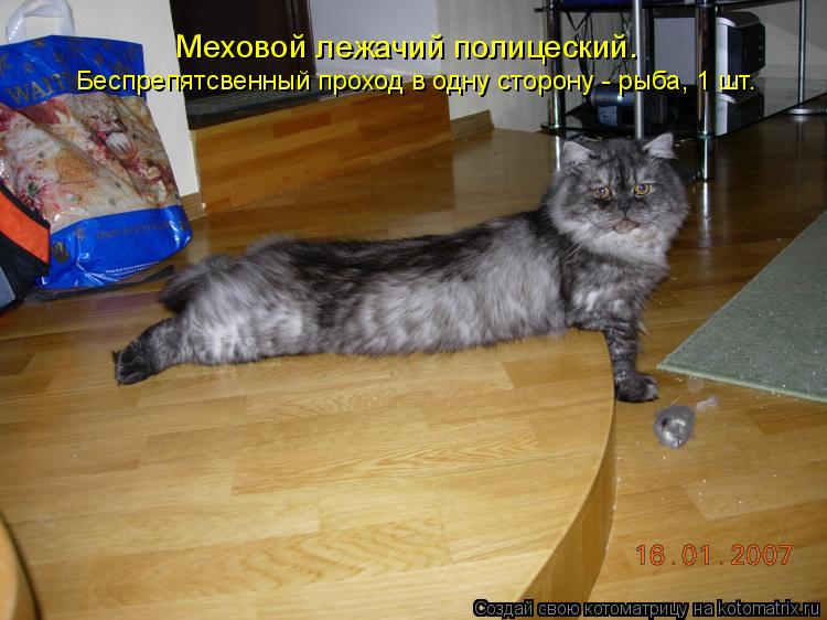 Меховой лежачий полицеский. Беспрепятсвенный проход в одну сторону - рыба, 1 шт.... Котоматрица: Меховой лежачий полицеский. Беспрепятсвенный проход в одну сторону - рыба, 1 шт.