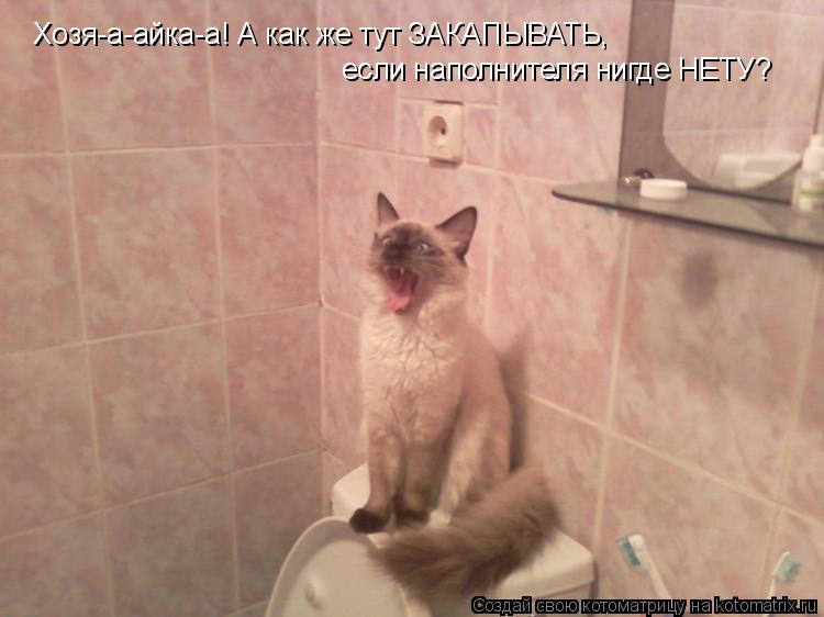 Хозя-а-айка-а! А как же тут ЗАКАПЫВАТЬ, если наполнителя нигде НЕТУ?... Котоматрица: Хозя-а-айка-а! А как же тут ЗАКАПЫВАТЬ, если наполнителя нигде НЕТУ?