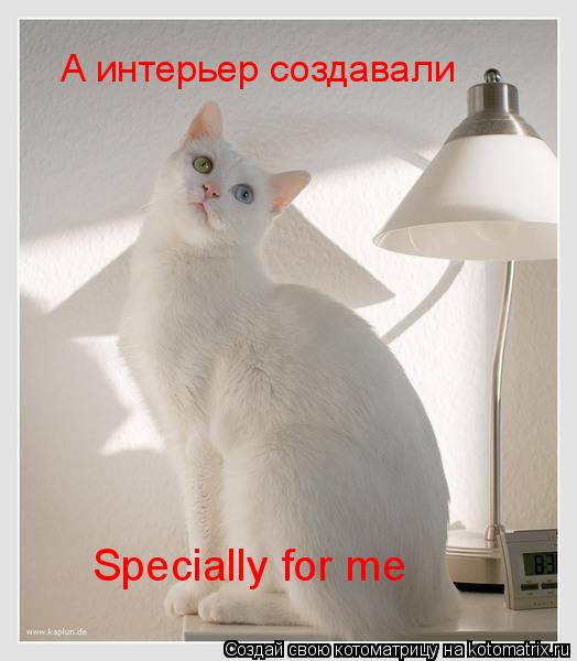 А интерьер создавали Specially for me... Котоматрица: А интерьер создавали Specially for me