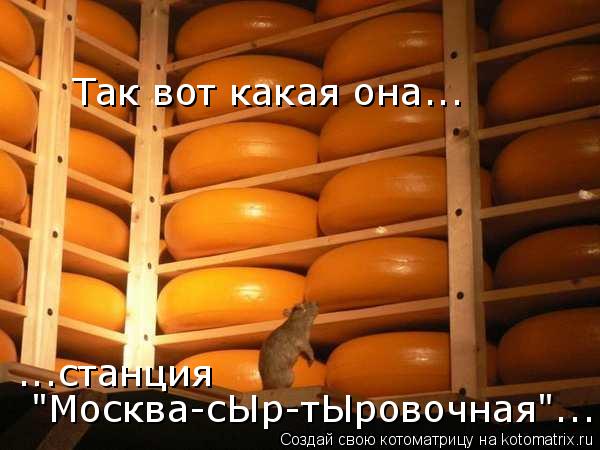 Так вот какая она... ...станция "Москва-сЫр-тЫровочная"...... Котоматрица: Так вот какая она... ...станция "Москва-сЫр-тЫровочная"...