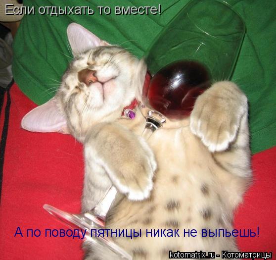 Если отдыхать то вместе! А по поводу пятницы никак не выпьешь!... Котоматрица: Если отдыхать то вместе! А по поводу пятницы никак не выпьешь!
