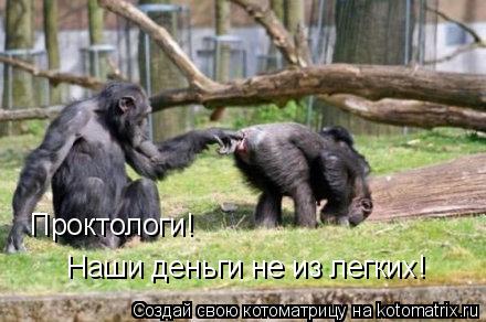 Проктологи! Наши деньги не из легких!... Котоматрица: Проктологи! Наши деньги не из легких!