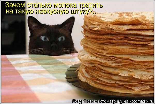 Зачем столько молока тратить на такую невкусную штуку?..... Котоматрица: Зачем столько молока тратить на такую невкусную штуку?..