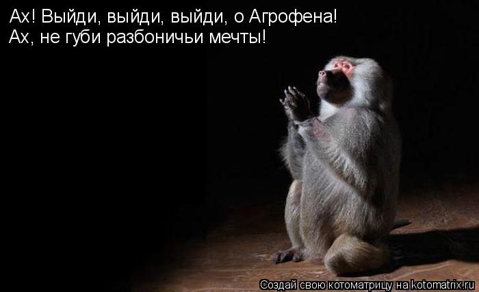 Ах! Выйди, выйди, выйди, о Агрофена! Ах, не губи разбоничьи мечты!... Котоматрица: Ах! Выйди, выйди, выйди, о Агрофена! Ах, не губи разбоничьи мечты!