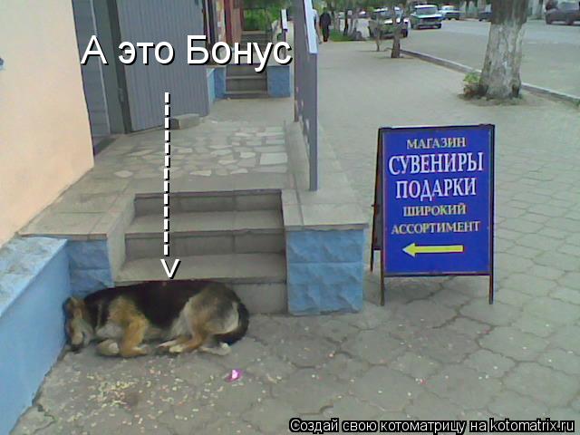 А это Бонус ------------->... Котоматрица: А это Бонус ------------->