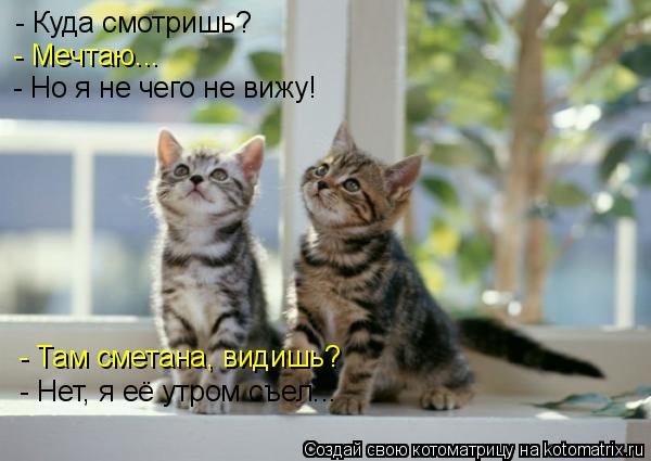 - Куда смотришь? - Мечтаю... - Но я не чего не вижу! - Там сметана, видишь? - Нет, я её утром съел...... Котоматрица: - Куда смотришь? - Мечтаю... - Но я не чего не вижу! - Там сметана, видишь? - Нет, я её утром съел...