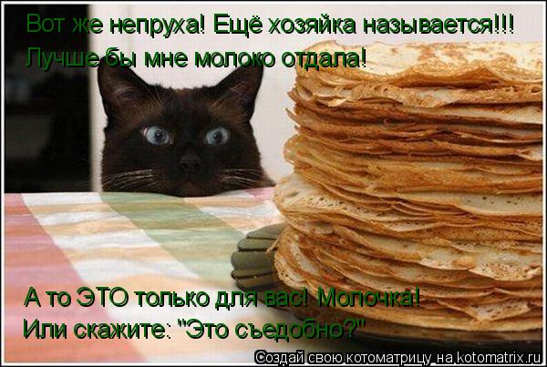Вот же непруха! Ещё хозяйка называется!!! Лучше бы мне молоко отдала! А то ЭТО только для вас! Молочк... Котоматрица: Вот же непруха! Ещё хозяйка называется!!! Лучше бы мне молоко отдала! А то ЭТО только для вас! Молочка! Или скажите: "Это съедобно?"