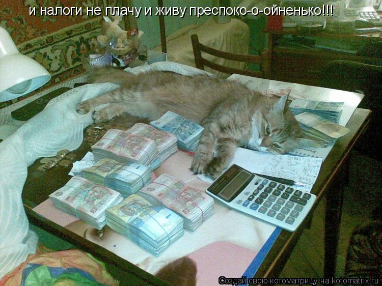 и налоги не плачу и живу преспоко-о-ойненько!!!... Котоматрица: и налоги не плачу и живу преспоко-о-ойненько!!!