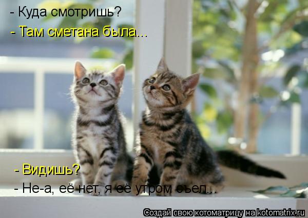 - Куда смотришь? - Там сметана была... - Видишь? - Не-а, её нет, я её утром съел...... Котоматрица: - Куда смотришь? - Там сметана была... - Видишь? - Не-а, её нет, я её утром съел...