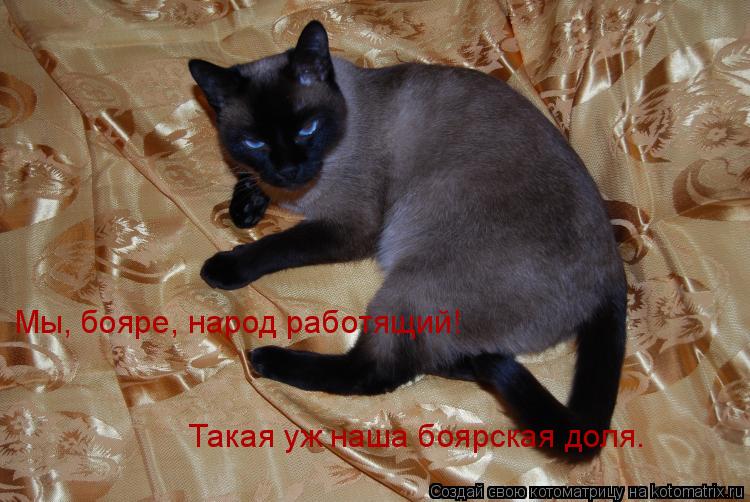 Мы, бояре, народ работящий! Такая уж наша боярская доля…... Котоматрица: Мы, бояре, народ работящий! Такая уж наша боярская доля…