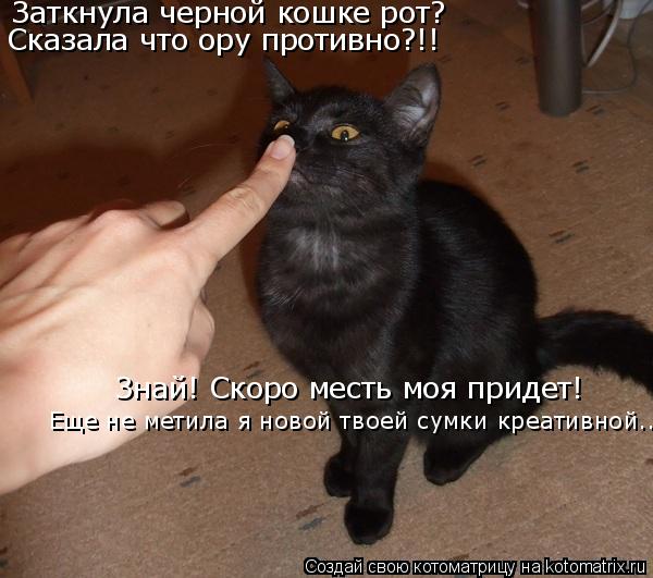 Заткнула черной кошке рот? Сказала что ору противно?!! Знай! Скоро месть моя придет! Еще не метила ... Котоматрица: Заткнула черной кошке рот? Сказала что ору противно?!! Знай! Скоро месть моя придет! Еще не метила я новой твоей сумки креативной...
