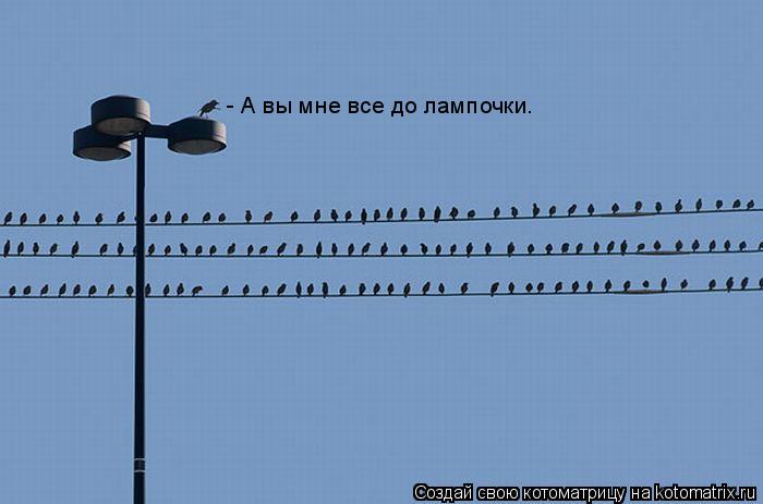 - А вы мне все до лампочки.... Котоматрица: - А вы мне все до лампочки.