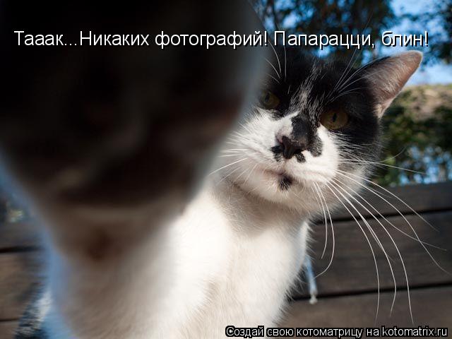Тааак...Никаких фотографий! Папарацци, блин!... Котоматрица: Тааак...Никаких фотографий! Папарацци, блин!