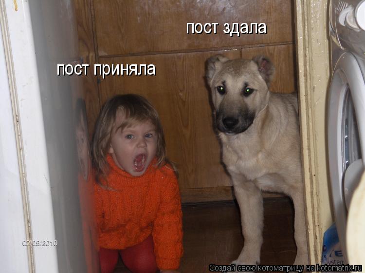 пост здала пост приняла... Котоматрица: пост здала пост приняла