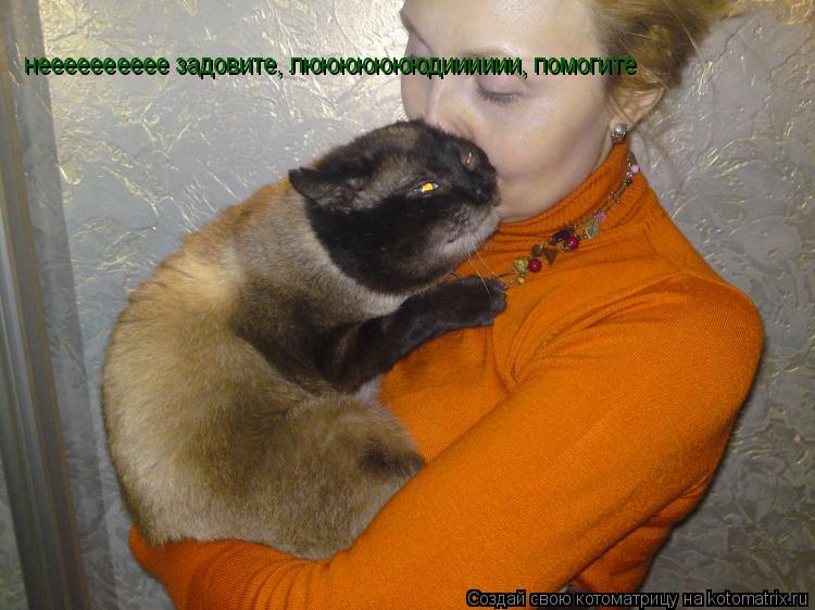 нееееееееее задовите, люююююююдииииии, помогите... Котоматрица: нееееееееее задовите, люююююююдииииии, помогите