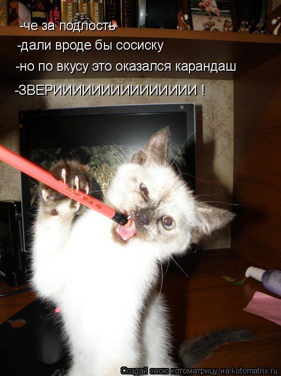 -че за подлость -дали вроде бы сосиску -но по вкусу это оказался карандаш -ЗВЕРИИИИИИИИИИИИИИИ !... Котоматрица: -че за подлость -дали вроде бы сосиску -но по вкусу это оказался карандаш -ЗВЕРИИИИИИИИИИИИИИИ !