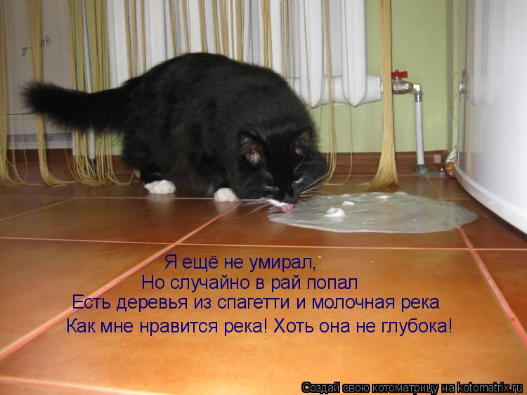 Я ещё не умирал, Но случайно в рай попал Есть деревья из спагетти и молочная река Как мне нравится ре... Котоматрица: Я ещё не умирал, Но случайно в рай попал Есть деревья из спагетти и молочная река Как мне нравится река! Хоть она не глубока!